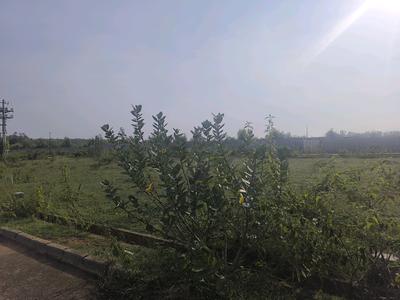 Image of 1000 Sq.ft Residential Plot / Land for sale in Hoskote, Bengaluru for Rs. 2800200