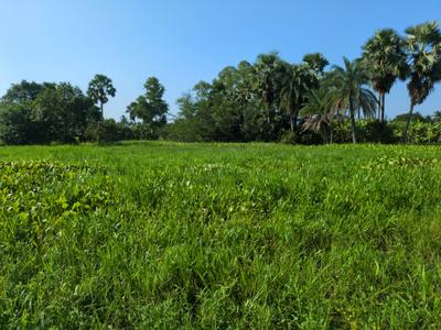 Image of 1440 Sq.ft Residential Plot / Land for sale in Natures Paradise, Joka, Kolkata for Rs. 299989
