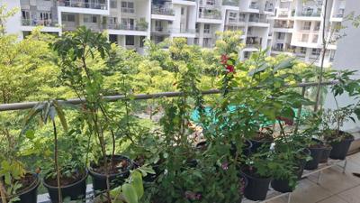 Balcony Image of 2710 Sq.ft 4 BHK Apartment / Flat for sale in Rohan Kritika, Dattavadi Pune for Rs. 47500000