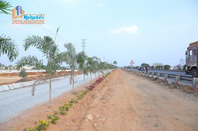Residential Plot