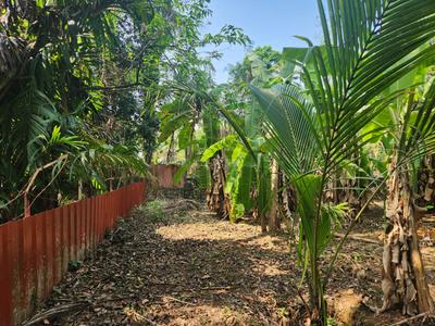 Image of 26133 Sq.ft Residential Plot / Land for sale in Poovanthuruthu, Kottayam for Rs. 24000000