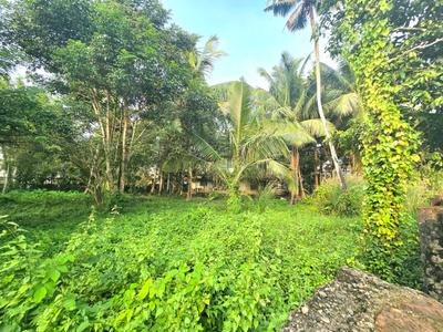 Image of 2610 Sq.ft Residential Plot / Land for sale in North Paravoor, Kochi for Rs. 4500000