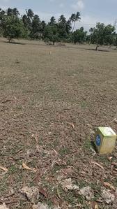 Image of 1283 Sq.ft Residential Plot / Land for sale in Kinathukadavu, Coimbatore for Rs. 550000