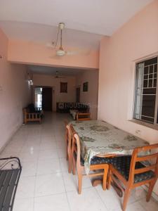 Hall Image of 850 Sq.ft 1 BHK Apartment / Flat for rent in Karelibagh Vadodara for Rs. 15000
