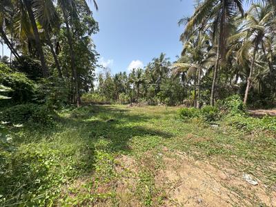 Image of 11700 Sq.ft Residential Plot / Land for sale in Vasai West, Vasai for Rs. 40000000