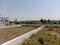 Shewalewadi Plot View 2