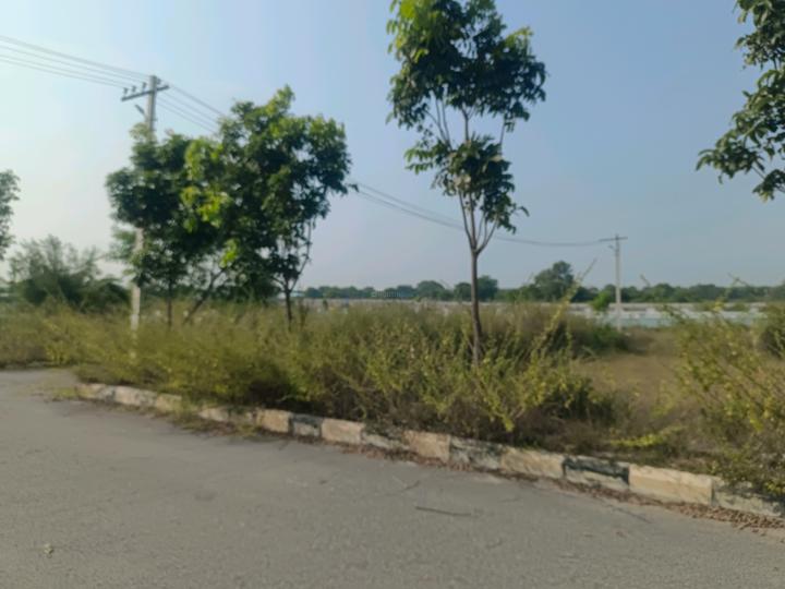 Devender Colony Plot View 1