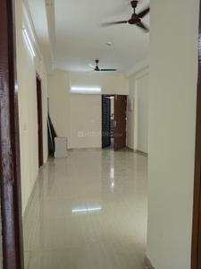 Hall Image of 1301 Sq.ft 3 BHK Apartment / Flat for rent in Amrapali Verona Heights, Noida Extension Greater Noida for Rs. 21000
