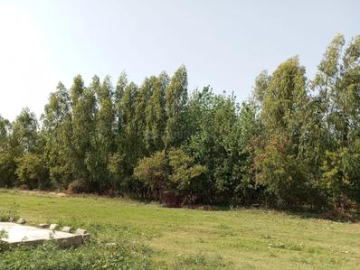 Image of 300 Sq.ft Residential Plot / Land for sale in Omaxe Phase 3 Mullanpur, New Chandigarh, Chandigarh for Rs. 25500000