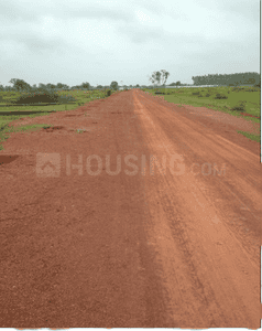 Image of 1000 Sq.ft Residential Plot / Land for sale in Amleshwar, Raipur for Rs. 1200000