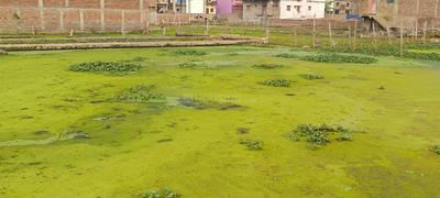 Image of 1200 Sq.ft Residential Plot / Land for sale in Danapur, Patna for Rs. 8500000
