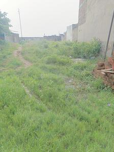 Image of 720 Sq.ft Residential Plot / Land for sale in Tamlia, Jamshedpur for Rs. 240000