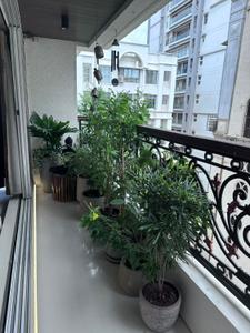 Balcony Image of 1850 Sq.ft 3 BHK Apartment / Flat for sale in Juhu Mumbai for Rs. 102500000