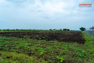 Image of 605 Sq.ft Residential Plot / Land for sale in Sampangi The Agri Fields, Narayankhed, Sangareddy for Rs. 650000