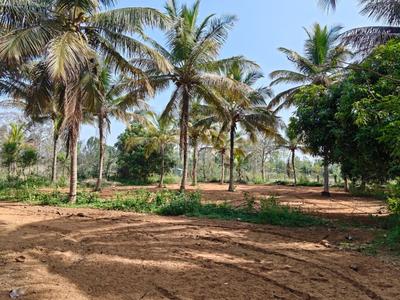 Image of 139392 Sq.ft Residential Plot / Land for sale in Nanjangud, Mysore for Rs. 35000000