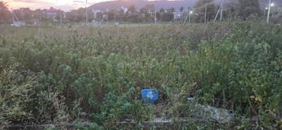 Image of 2100 Sq.ft Residential Plot / Land for sale in Lalitaddripura, Mysore for Rs. 10815000