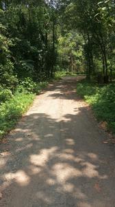 Image of 3876 Sq.ft Residential Plot / Land for sale in Mulanthuruthy, Kochi for Rs. 225000