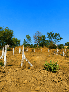 Image of 2189 Sq.ft Residential Plot / Land for sale in Punawale, Pune for Rs. 5900000