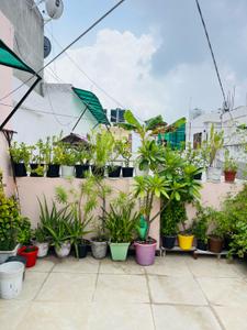 Image of 2900 Sq.ft 4 BHK Duplex for sale in JMD Elite View Apartments, Noida Extension, Greater Noida for Rs. 9500000