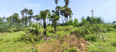 Image of 1060 Sq.ft Residential Plot / Land for sale in Bhogapuram, Vizianagaram for Rs. 7500000