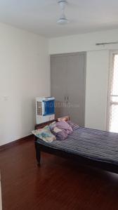 Bedroom Image of 1247 Sq.ft 2 BHK Apartment / Flat for rent in Jaypee Klassic , Sector 129 Noida for Rs. 25000