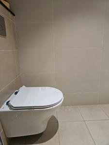 Common Bathroom Image of 1361 Sq.ft 3 BHK Apartment / Flat for sale in Que 914, Mundhwa Pune for Rs. 12500000