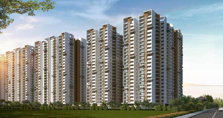 Radhey Skye Main Image 1