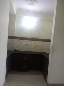 Kitchen Image of 900 Sq.ft 2 BHK Apartment / Flat for rent in Altus Sanvi, Vatika Jaipur for Rs. 8000
