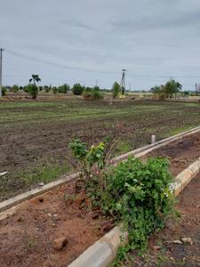 Image of 366 Sq.ft Residential Plot / Land for sale in NMR Sai Chandana Gardens Pedaogirala Phase 1, Pedaogirala, Krishna for Rs. 6006000