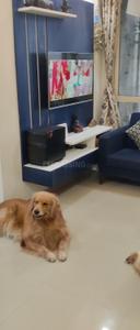 Hall Image of 407 Sq.ft 1 BHK Apartment / Flat for sale in Green Paradise, Dahin Nagar Surat for Rs. 3200000