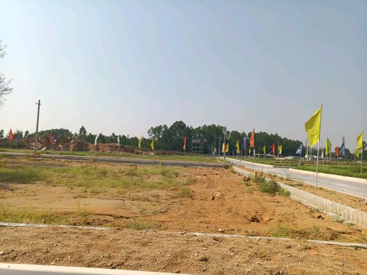 Temple city Main Image 1