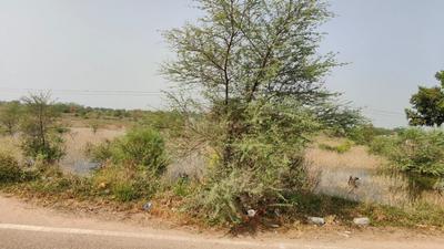 Image of 1098 Sq.ft Residential Plot / Land for sale in Jagatpura, Jaipur for Rs. 8540000