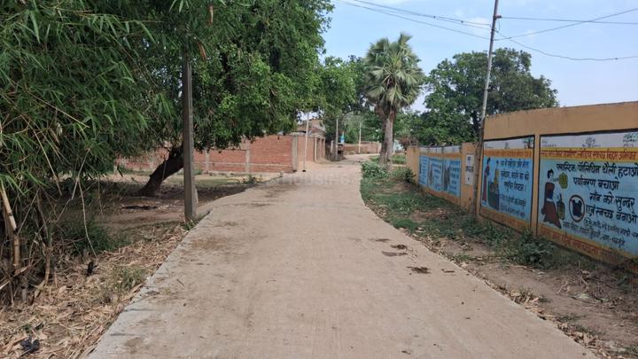 Bihta Main Image 1