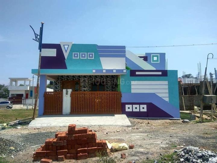 TAASA MEDORA Main Image 1