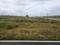 Bommasandra Industrial Area, Bommasandra Plot View 2