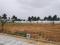 Vinayak Layout, Medahalli Plot View 2