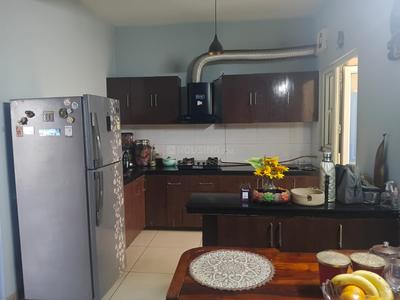 Kitchen Image of 1540 Sq.ft 3 BHK Apartment / Flat for rent in Paras Tierea, Sector 137 Noida for Rs. 45000