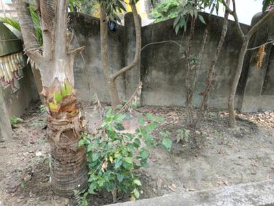 Image of 1000 Sq.ft 2 BHK Independent House for sale in Baruipur, Kolkata for Rs. 6000000