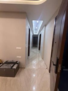 Hall Image of 2650 Sq.ft 4 BHK Independent House for rent in Saket RWA, Saket New Delhi for Rs. 200000