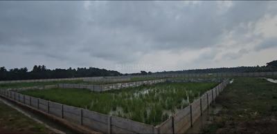 Image of 1500 Sq.ft Residential Plot / Land for sale in Maltipatpur, Puri for Rs. 1700000