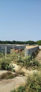 Trustroot Greens TIDPL Samda LKO Plot View 3