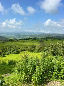 Image of 11000 Sq.ft Residential Plot / Land for sale in Jambhe, Pune for Rs. 1100000