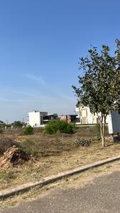 Image of 333 Sq.ft Residential Plot / Land for sale in New Chandigarh, Chandigarh for Rs. 23500000