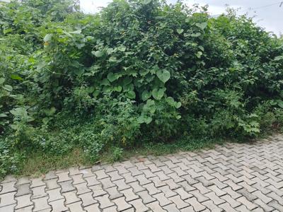 Image of 900 Sq.ft Residential Plot / Land for sale in Sahastradhara Road, Dehradun for Rs. 7000000