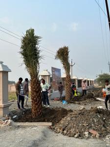 Image of 675 Sq.ft Residential Plot / Land for sale in Mendki, Dewas for Rs. 1750000