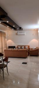 Hall Image of 2050 Sq.ft 3 BHK Apartment / Flat for rent in Gomti Nagar Lucknow for Rs. 60000