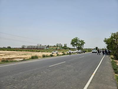 Ral Plot View 1