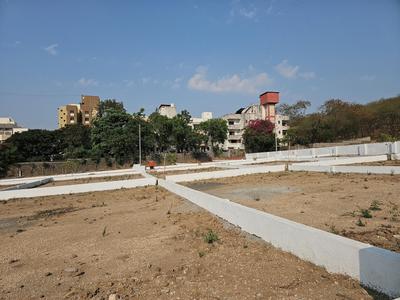 solvista Plot View 2