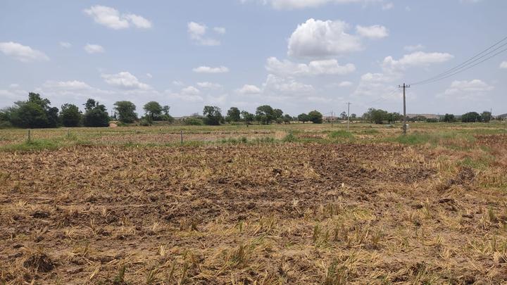 Hyder Shah Kote Main Image 1