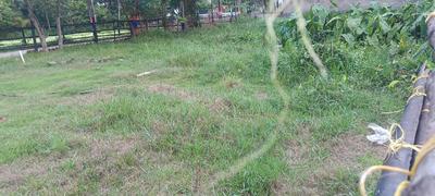 Image of 1440 Sq.ft Residential Plot / Land for sale in Pailan Bengal Pailan Park, Joka, Kolkata for Rs. 1050000